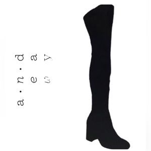 🆕 A New Day | Tonya High heeled Boots